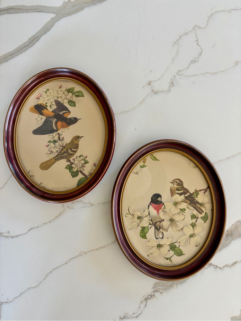 Vintage Mid Century Oval Framed Bird Botanical Prints